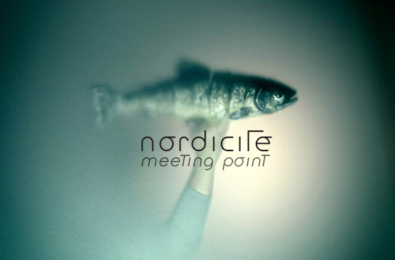 Nordicité/Meeting point 2018